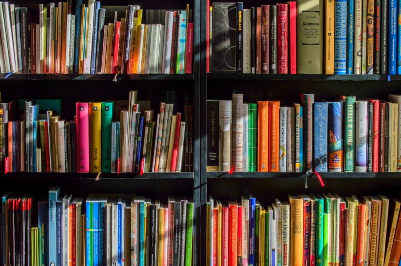 boutique-VARAGES-min_books_bookstore_book_reading_shop_writer_sale_books_read-822866